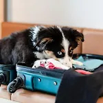 Courtyard By Marriott Center 酒店 柏林