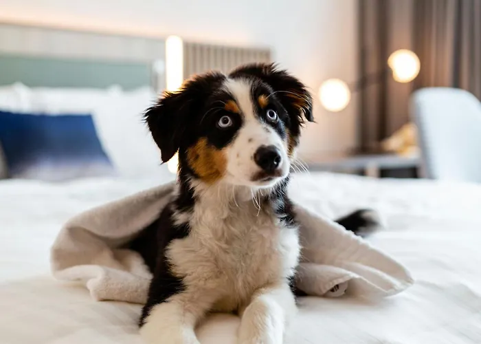 Courtyard By Marriott Center ホテル 4*