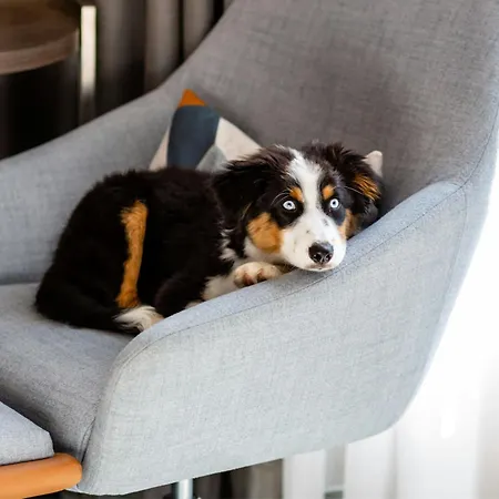 Courtyard By Marriott Center Hotell 4*