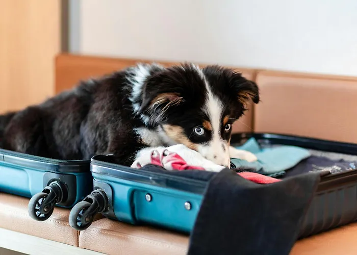 Courtyard By Marriott Center Hotel Berlín