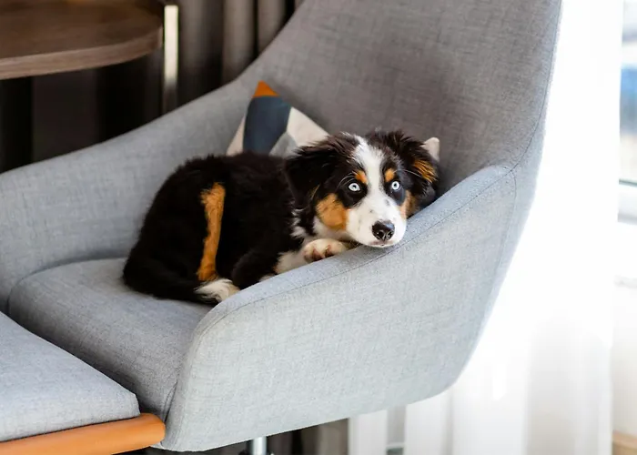 Courtyard By Marriott Center Hotell 4*